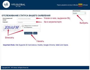 Как проверить статус визы?